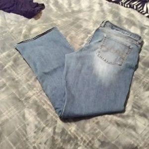 NYC Curvy Boot Cut  Denim Jeans